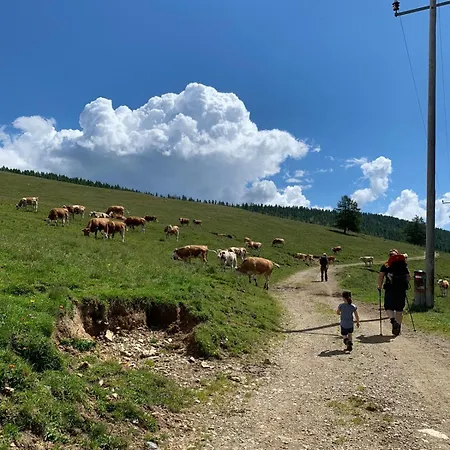 Almhaus Heidi Nockberge Ferienhaus