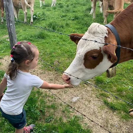 Almhaus Heidi Nockberge Ferienhaus *