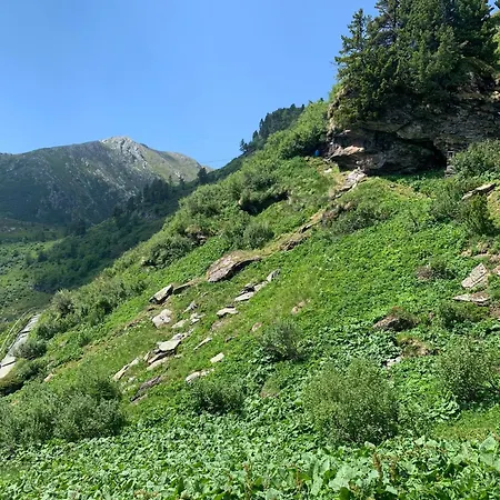 Almhaus Heidi Nockberge Ferienhaus *