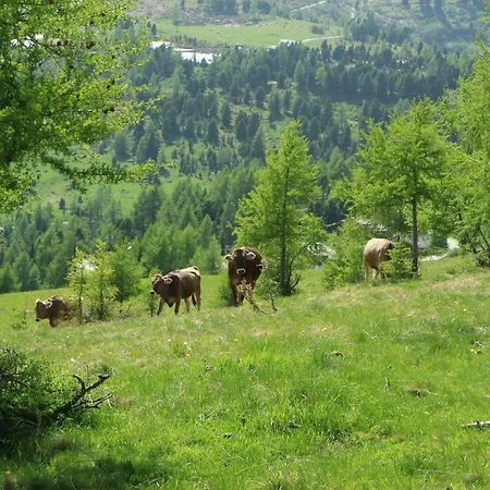 Almhaus Heidi Nockberge