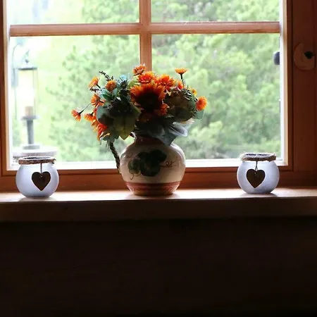 Almhaus Heidi Nockberge Ferienhaus *