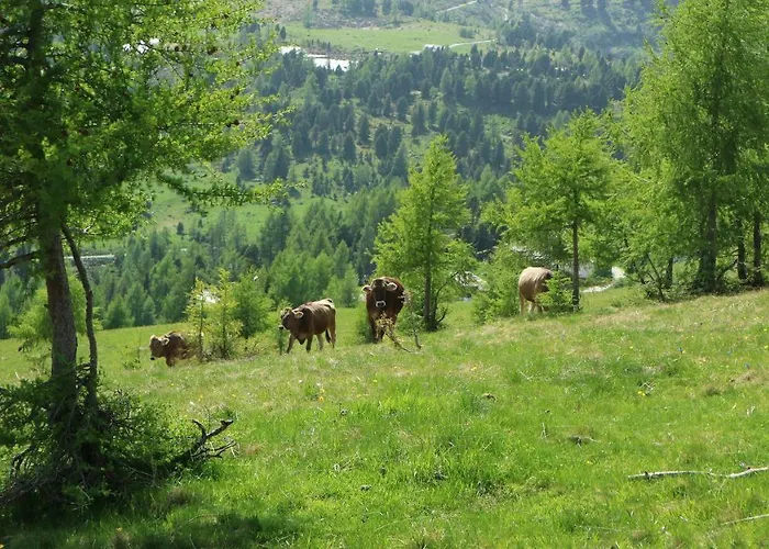 Almhaus Heidi Nockberge